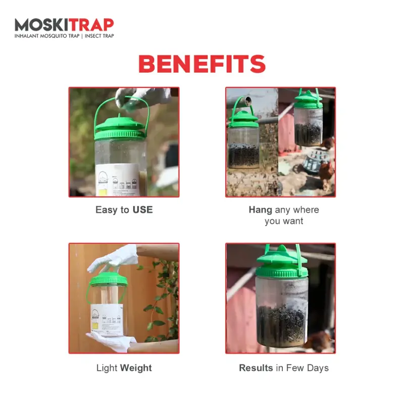 Fly Catcher Outdoor GW013