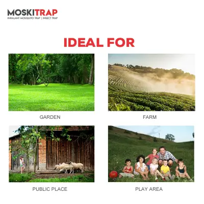 Fly Catcher Outdoor GW013