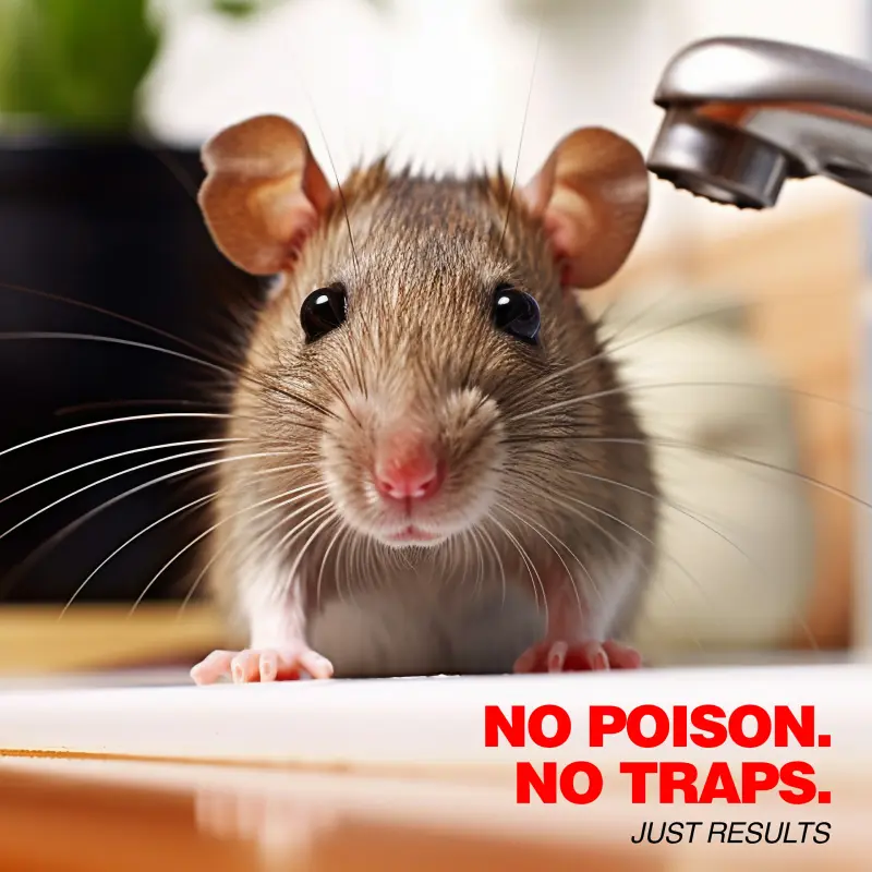 PNT1100 ULTRASONIC Ultimate Repeller