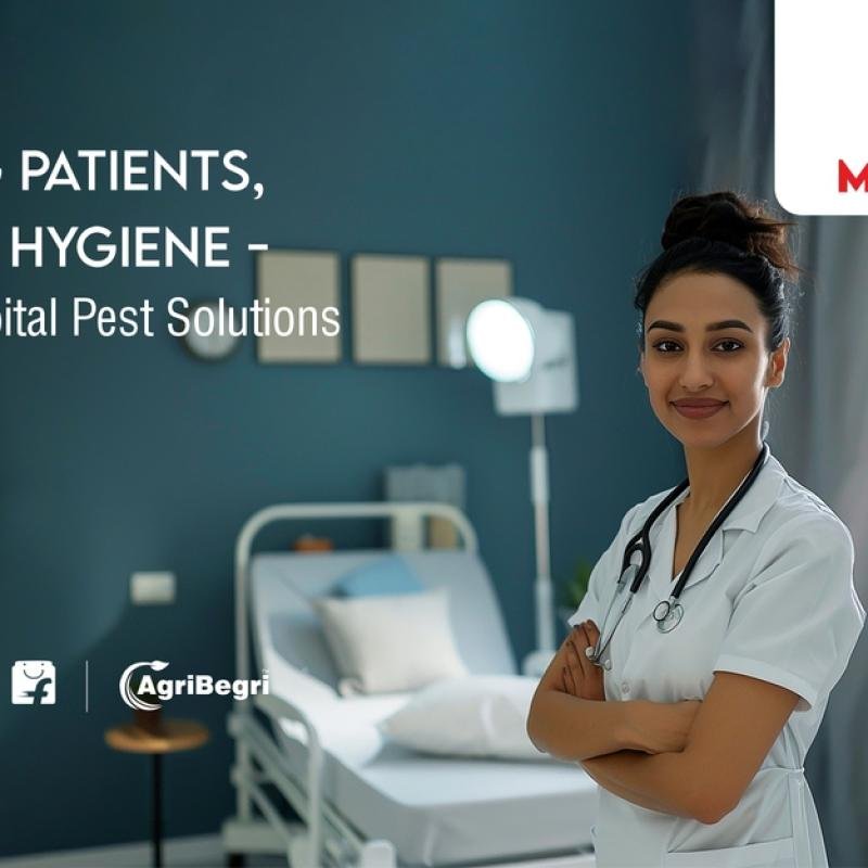 Protecting Patients, Preserving Hygiene – Moskitraps’ Hospital Pest Solutions